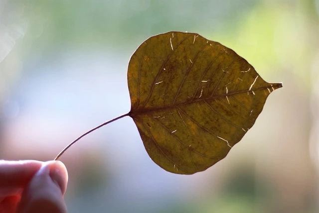 Thất hứa mà không mang tội